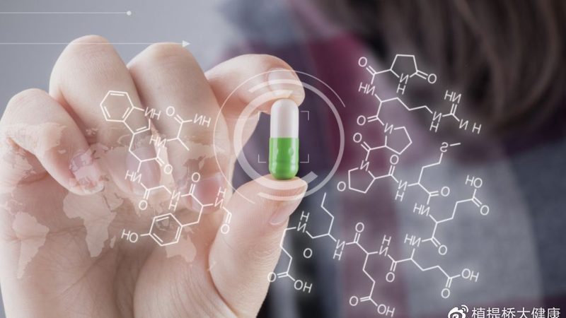 猫狗益生菌与酸奶：营养补充的差异化选择